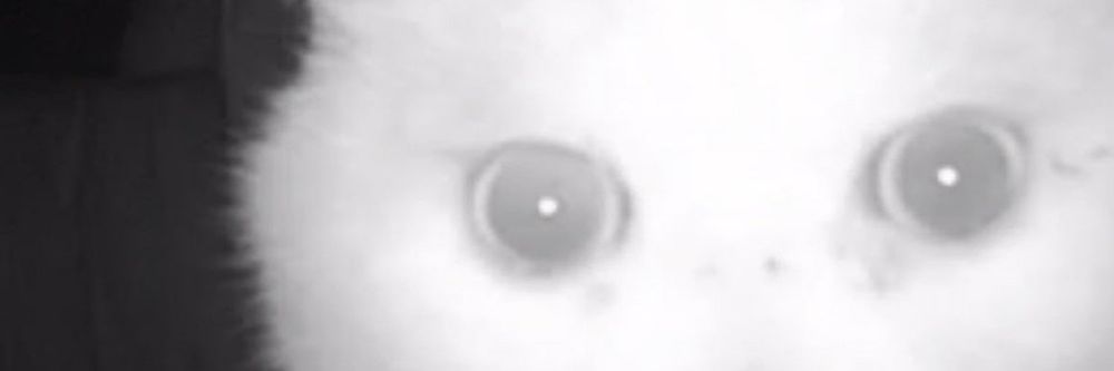 destr0yingang3l OnlyFans profile picture