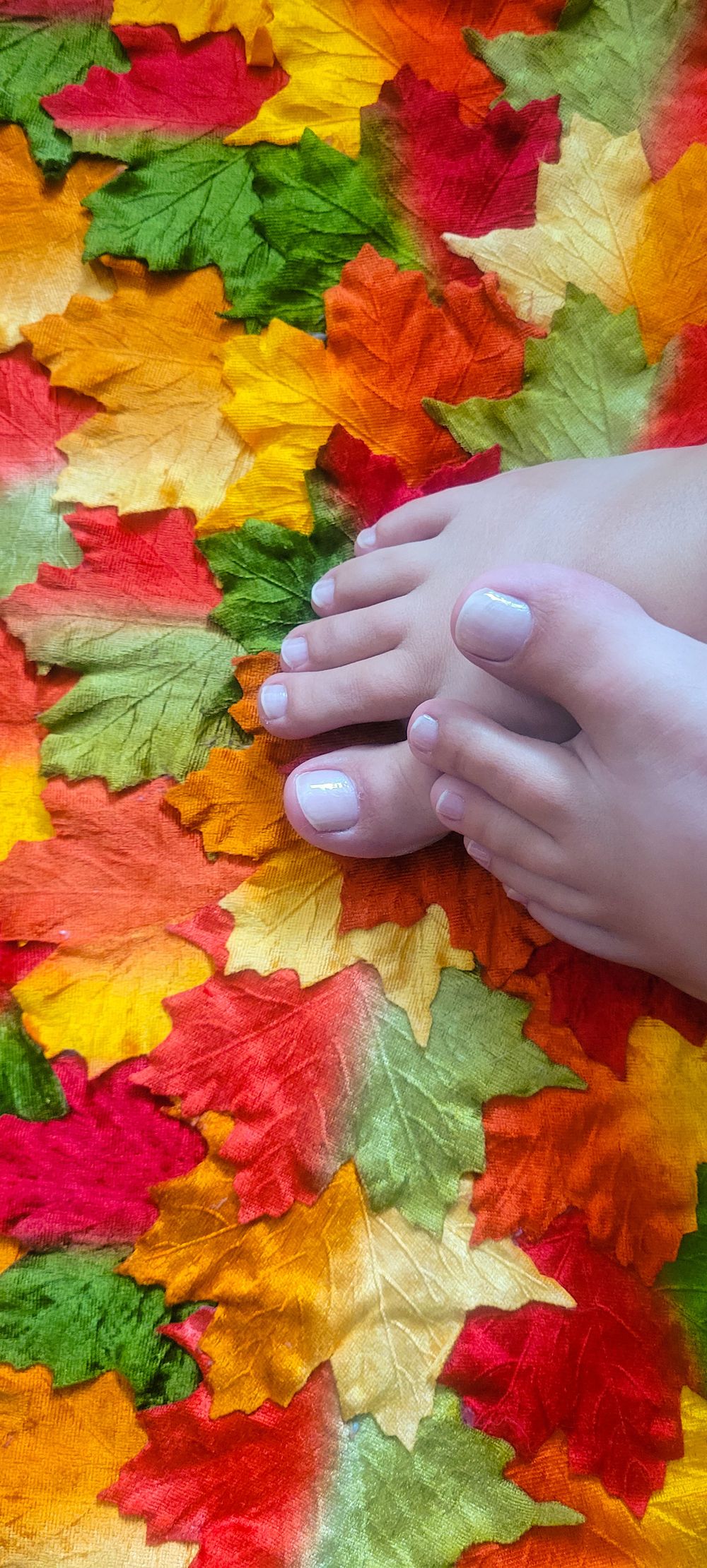 polish_perfect_feet OnlyFans profile picture