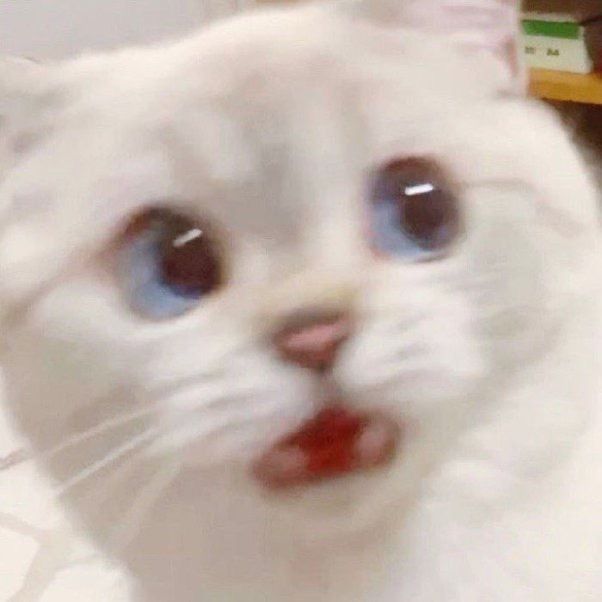 ethernetz OnlyFans profile picture