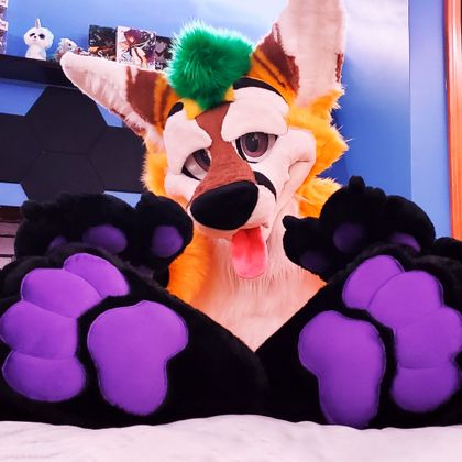 thepineapplefox OnlyFans picture