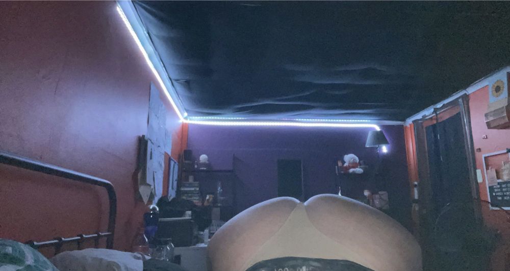 behindthescensofamy OnlyFans profile picture