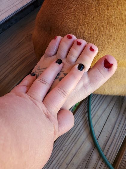tootsiekat OnlyFans picture