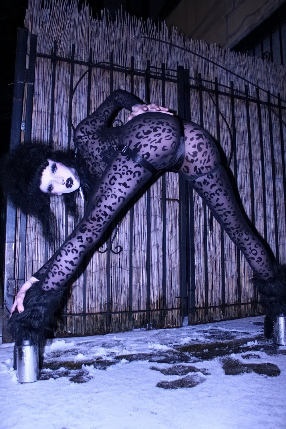 frankenspice666 OnlyFans profile picture