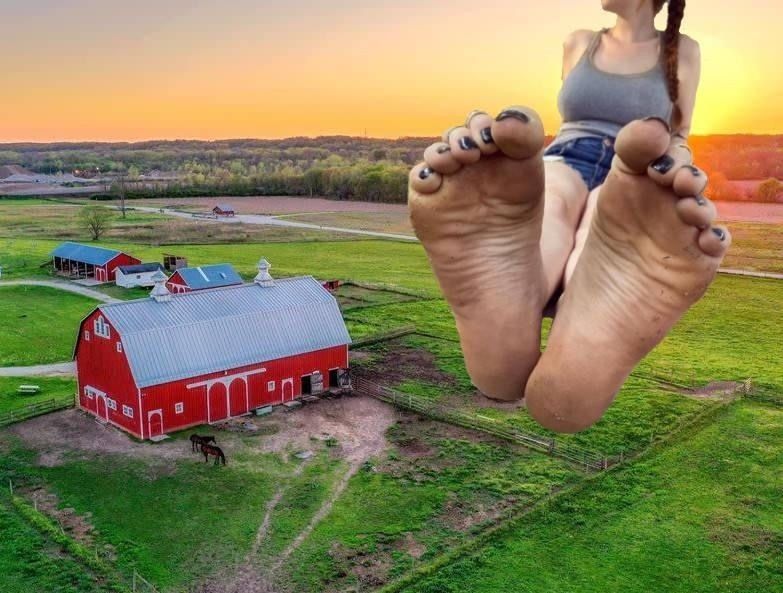 farmfreshfeetsies OnlyFans profile picture