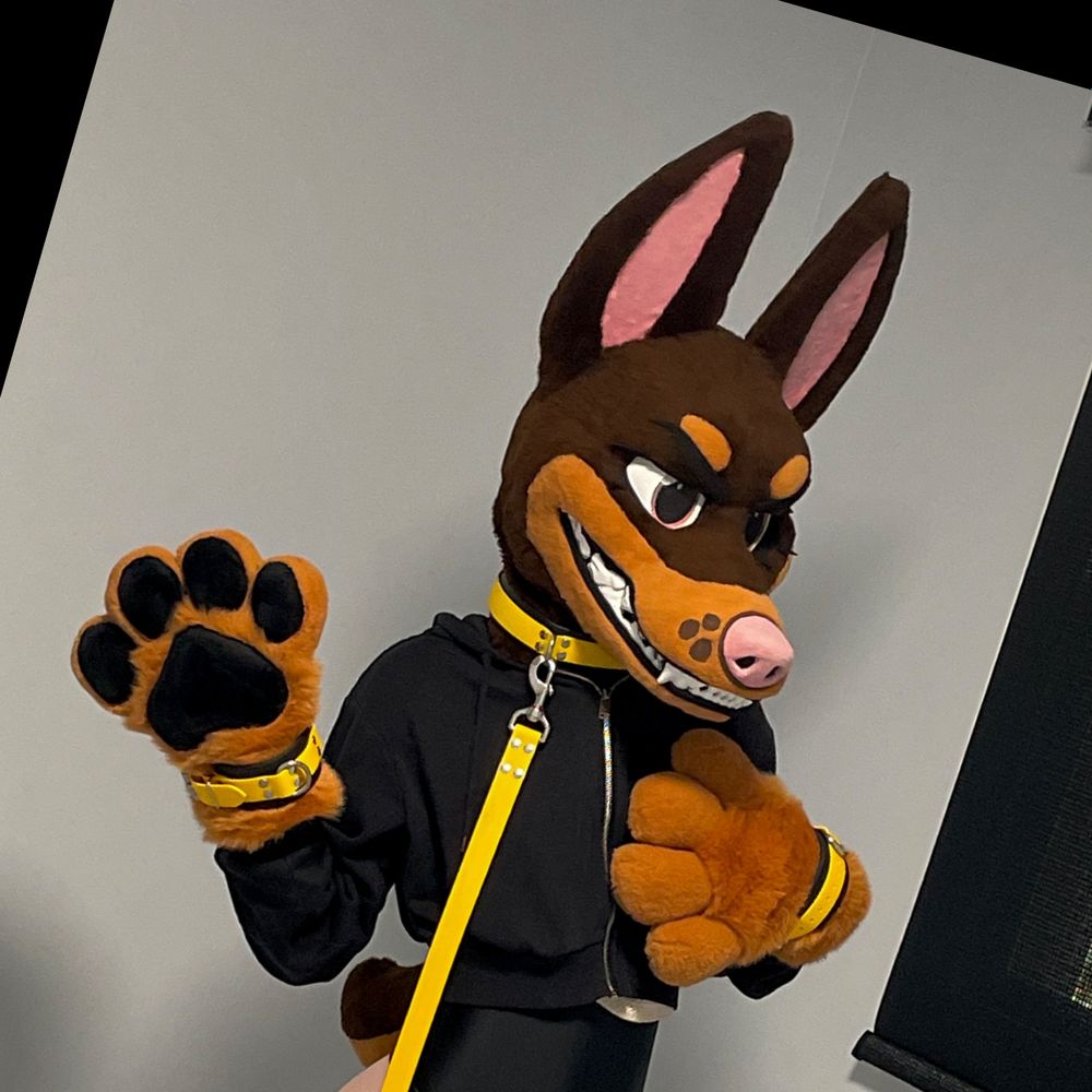 tobi.doberman OnlyFans profile picture
