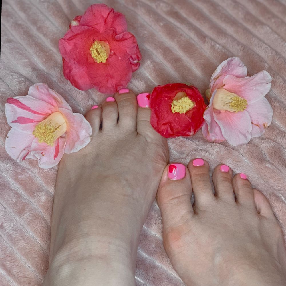 pedi_paradise OnlyFans profile picture