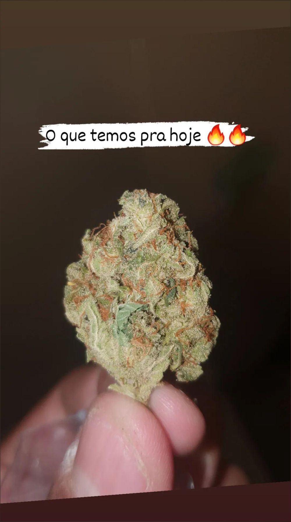 putosalvadorba OnlyFans profile picture