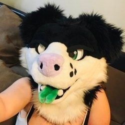 ZoePupperoniAD