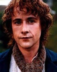pippin303 OnlyFans picture