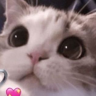 boyobeboyo OnlyFans profile picture