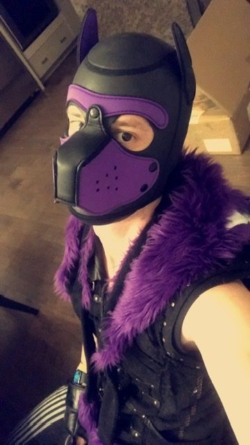 pupdozyr OnlyFans picture