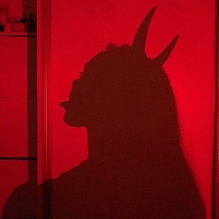 youngboypapi OnlyFans profile picture