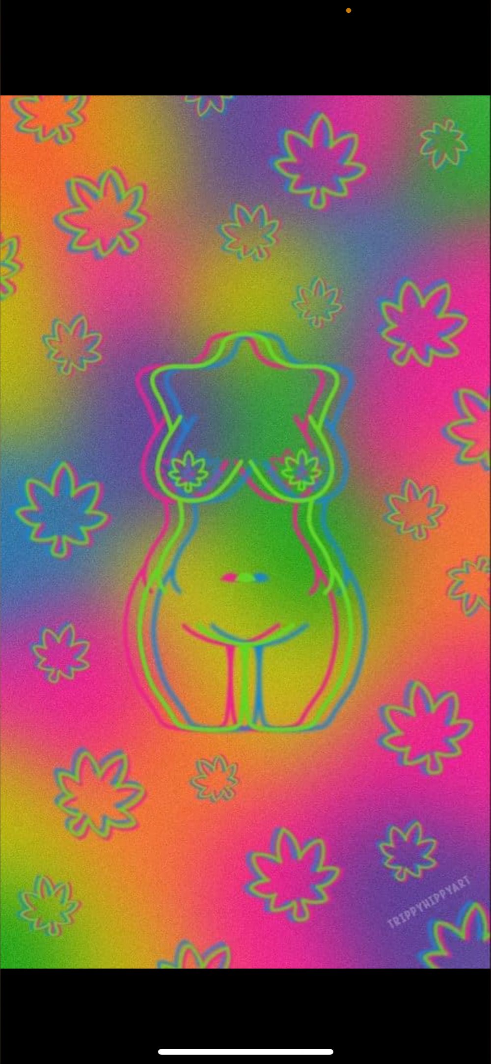 blazinxoxo OnlyFans profile picture