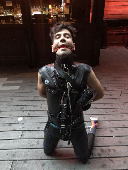 puptreblenyc OnlyFans picture