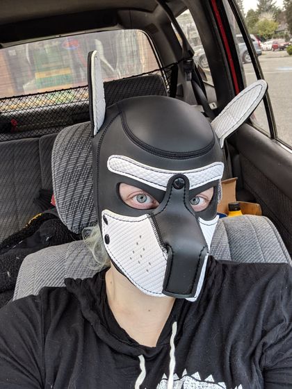 kikohuskyad OnlyFans picture