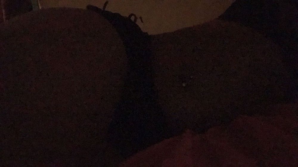 cinnamonapple003 OnlyFans profile picture