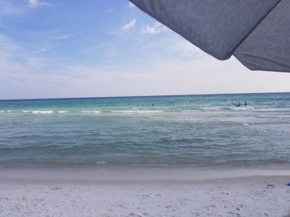 Best Cottontail L OnlyFans Accounts | FansMetrics.com