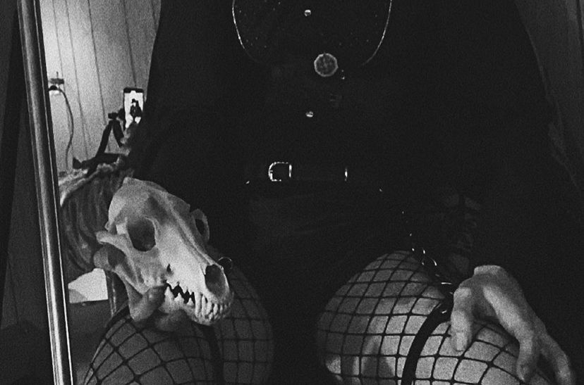 twinkbug69 OnlyFans profile picture
