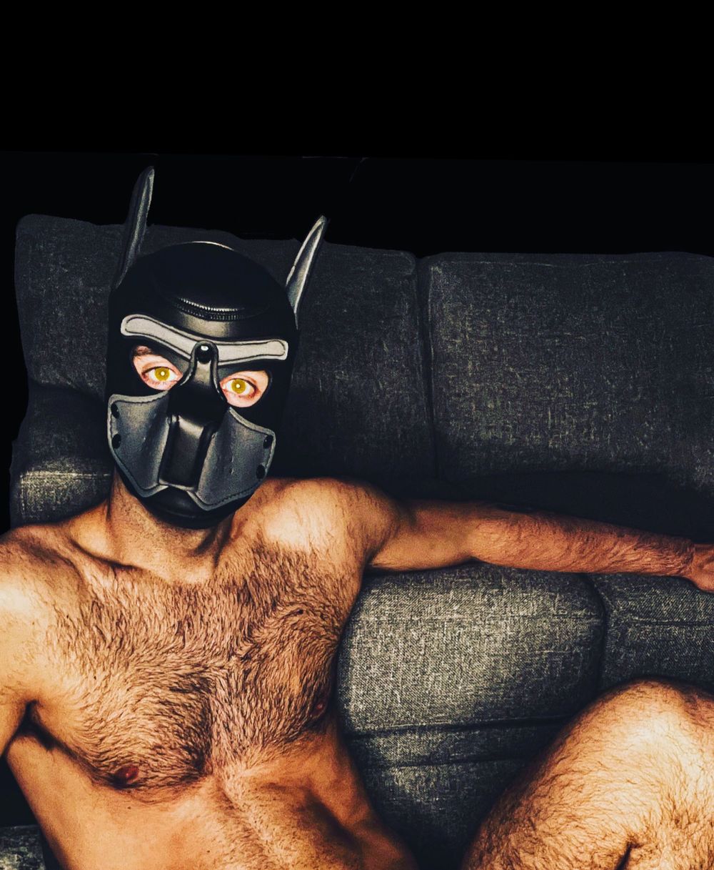 theedgewolf OnlyFans profile picture