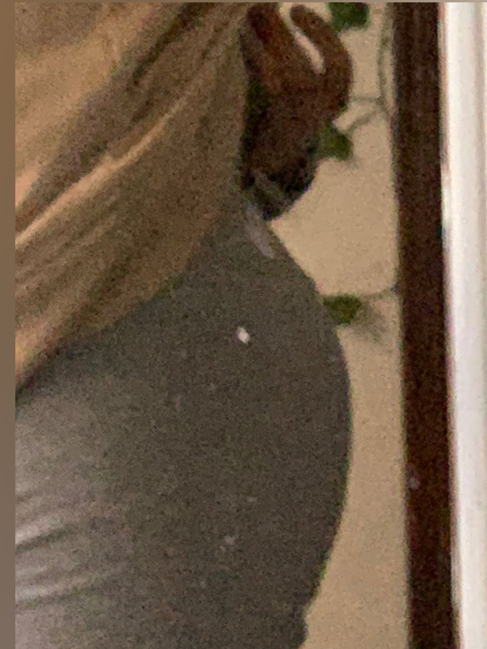 an1_121 OnlyFans profile picture