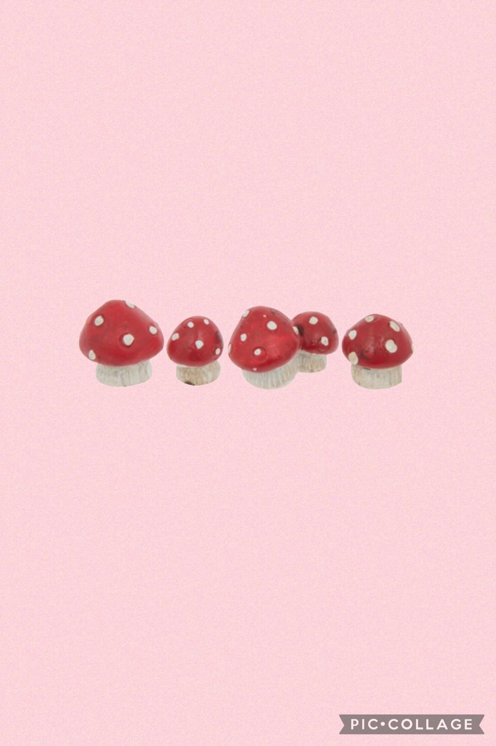 cutiemushroom OnlyFans profile picture