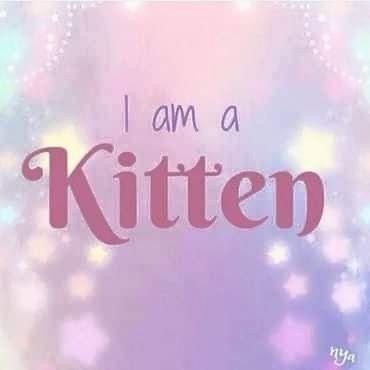 thislittleworldofmine OnlyFans profile picture