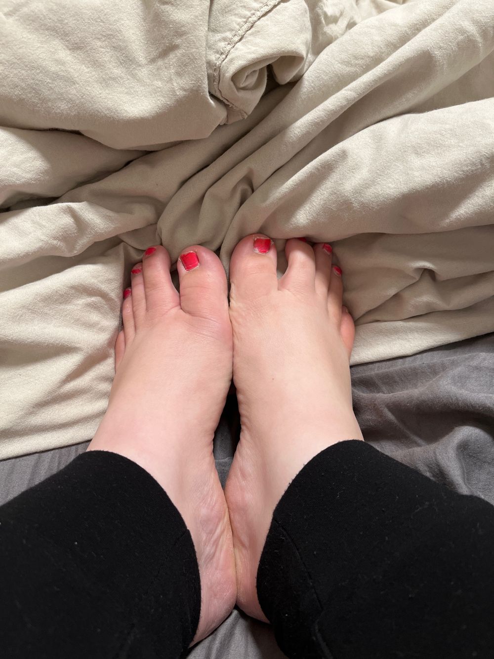 chubbytoesforall OnlyFans profile picture