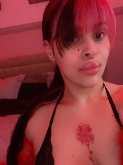 tsdolleca OnlyFans picture