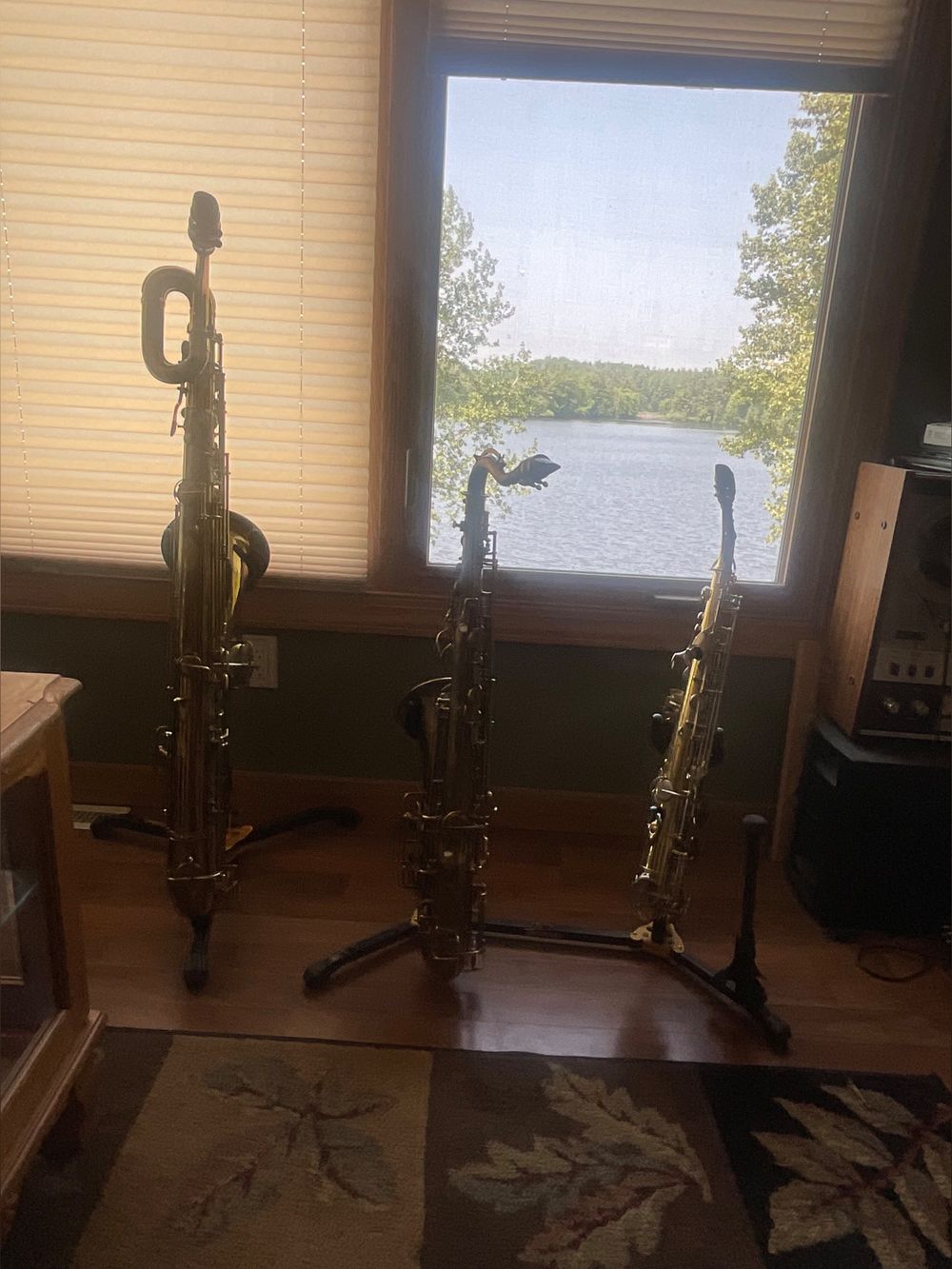 thechilledsaxman OnlyFans profile picture
