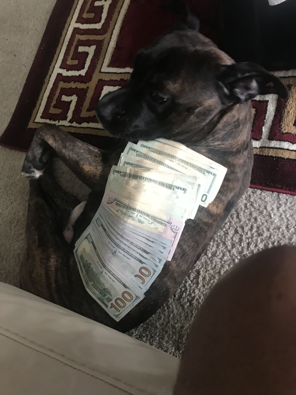 ndotb OnlyFans profile picture