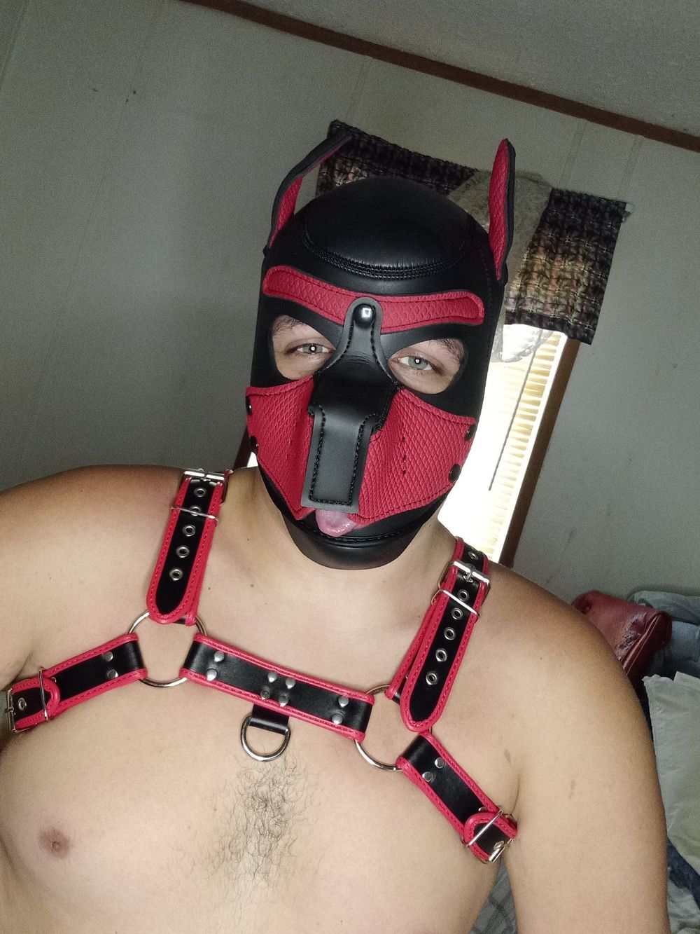 daggerpup1101 OnlyFans profile picture