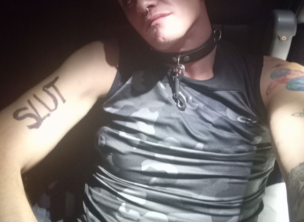 pig_in_prague OnlyFans profile picture