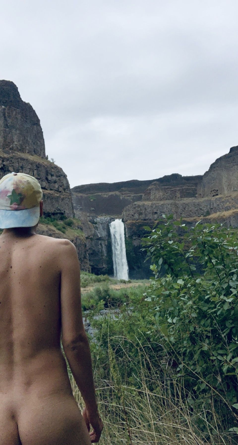 pnwgayboi OnlyFans profile picture