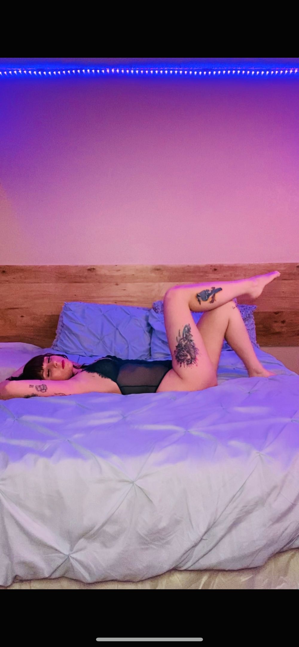 cassisass OnlyFans profile picture