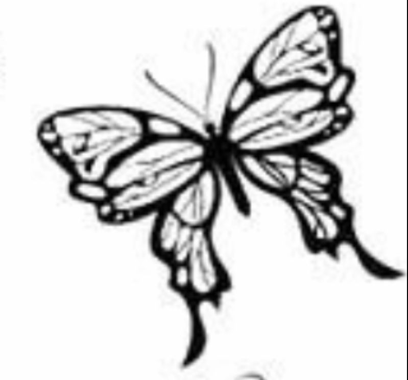 kairainbow OnlyFans profile picture