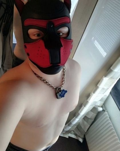 pupfluffyprivate OnlyFans picture