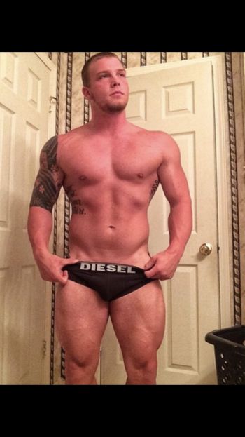 DILLPICKLE