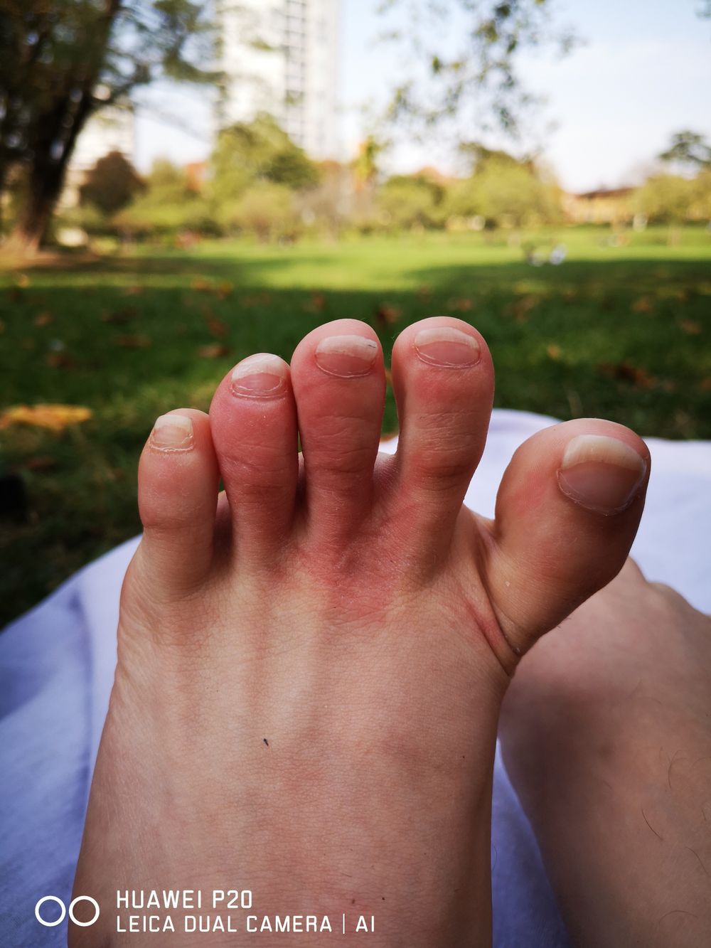 prettyanddaintyfeet OnlyFans profile picture