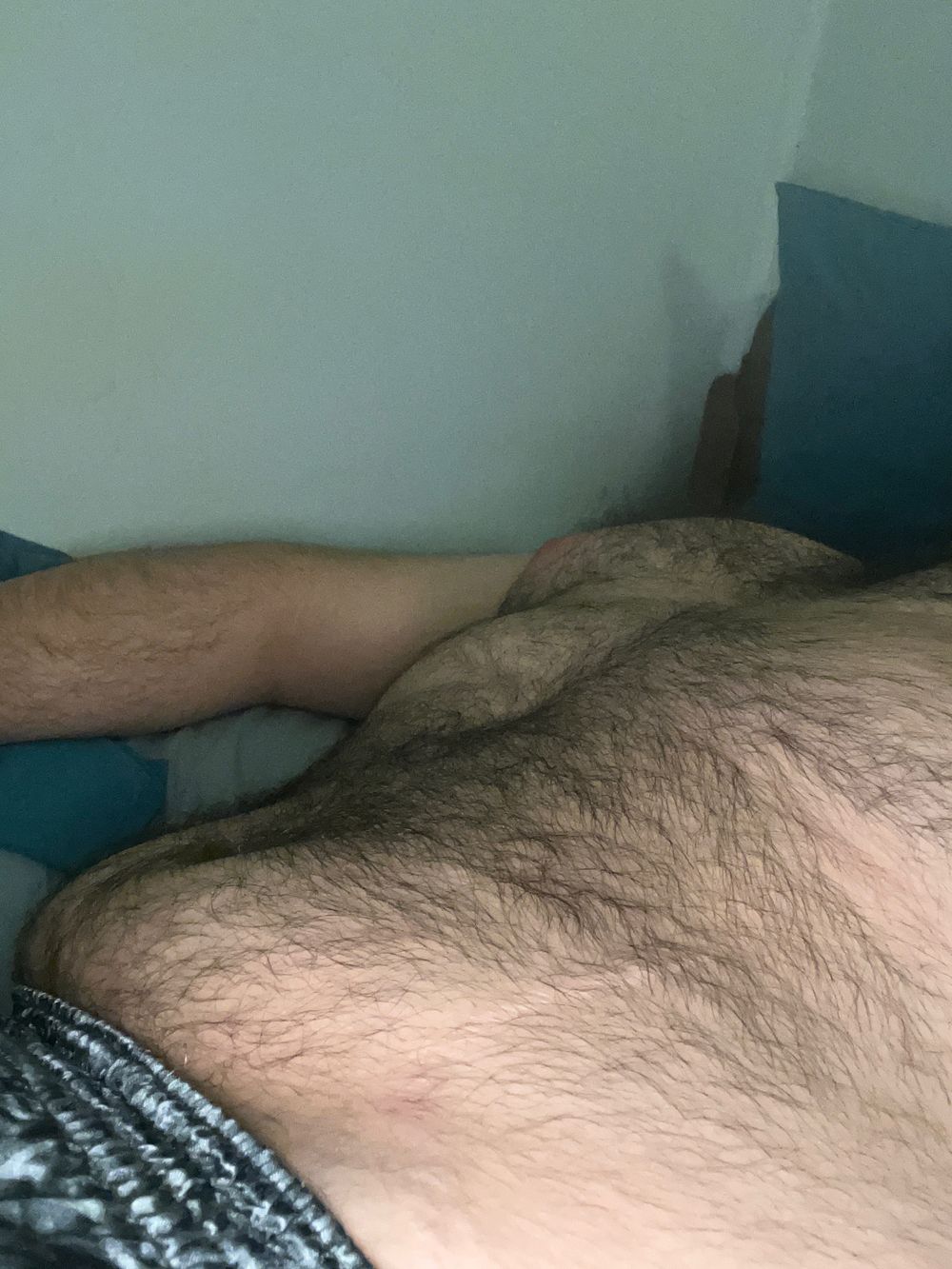 cuddlyteddybear OnlyFans profile picture
