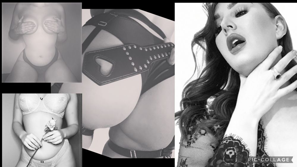 reignofrisque OnlyFans profile picture