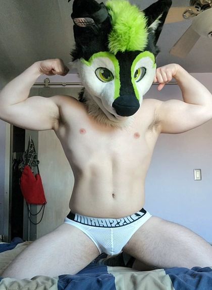 tjwolfpupad OnlyFans picture