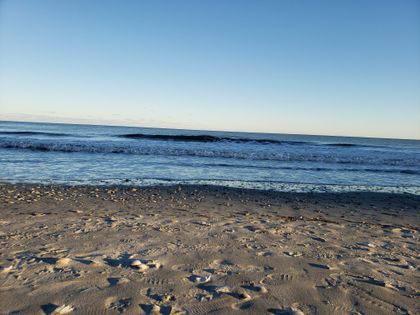 beach_voyeur OnlyFans picture