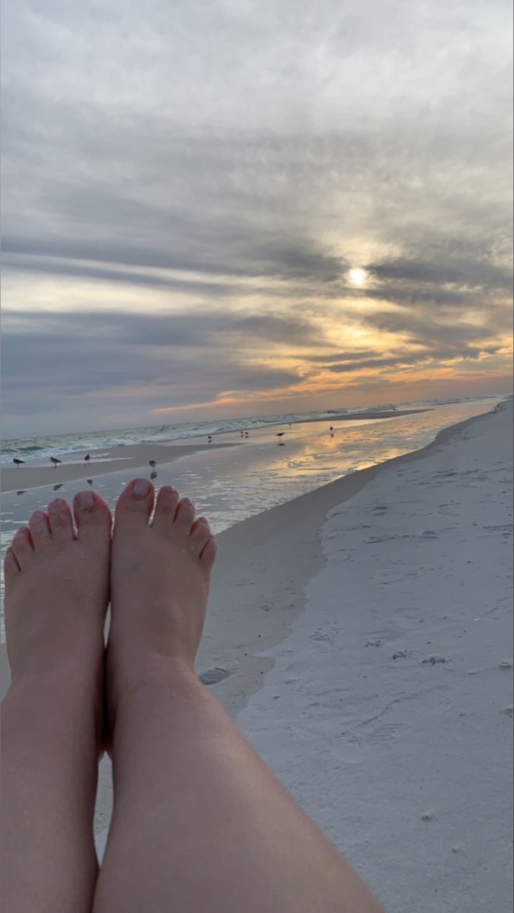 xoxandromeda OnlyFans profile picture