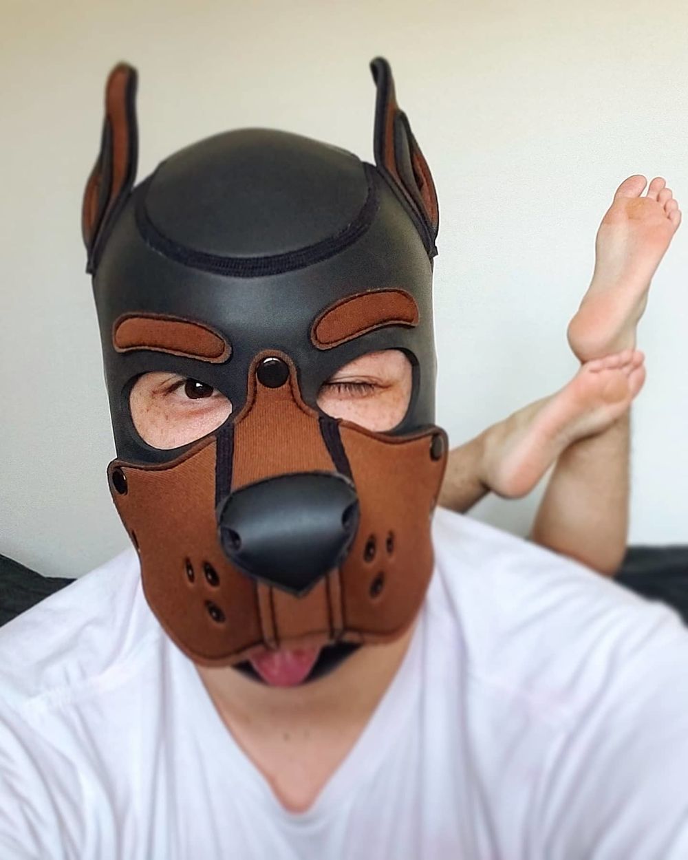 pup-nova OnlyFans profile picture