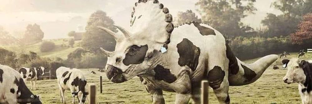saddysaurus OnlyFans profile picture