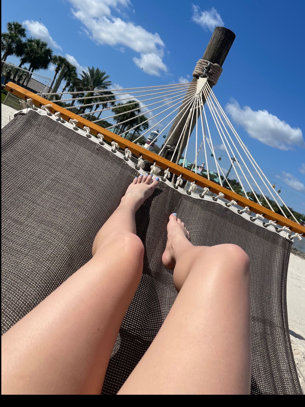 lnscott OnlyFans profile picture