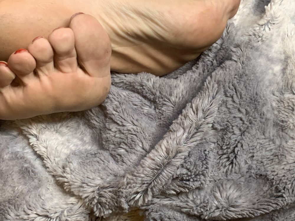 lindsayannjonhson OnlyFans profile picture