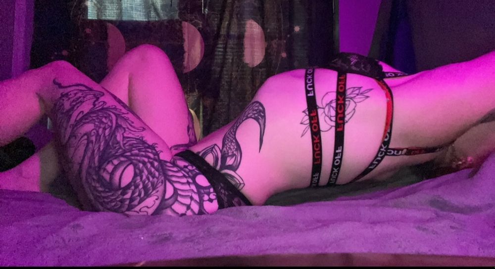 curiouskitty35745 OnlyFans profile picture