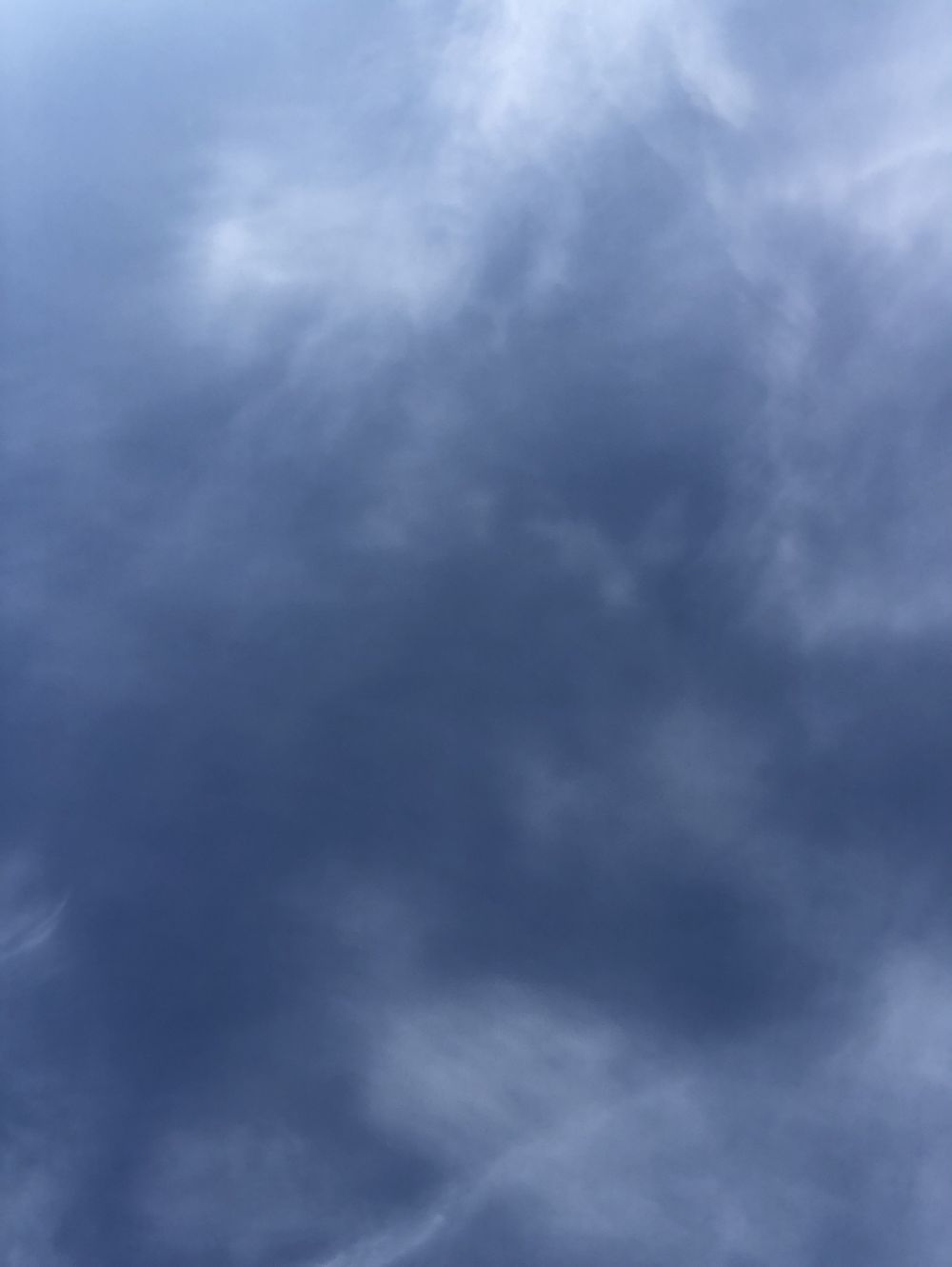 milliestits OnlyFans profile picture
