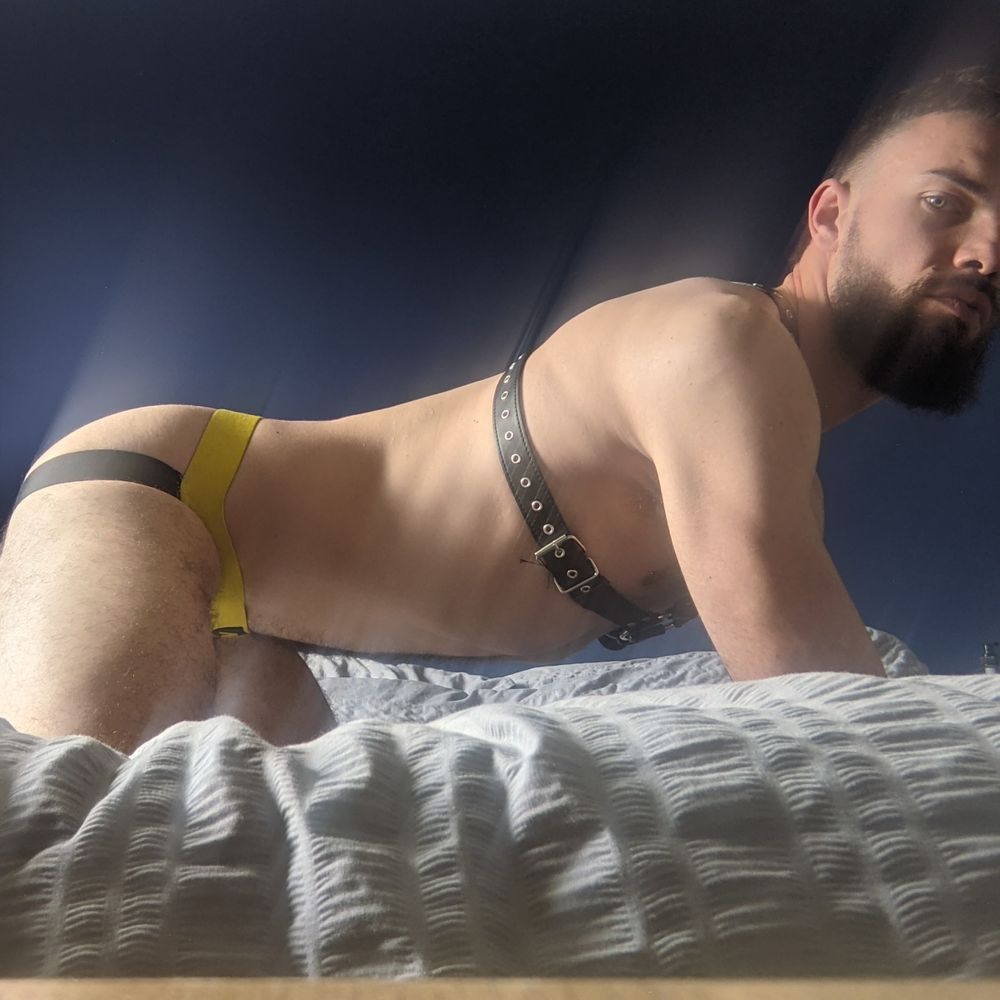 bigdog94265416 OnlyFans profile picture
